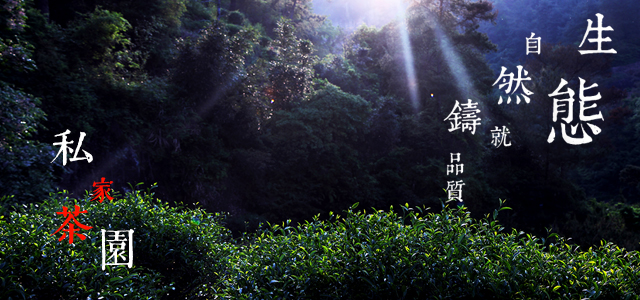 test5